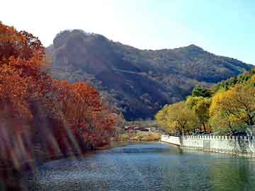 新澳天天开奖资料大全旅游团，中华图书人